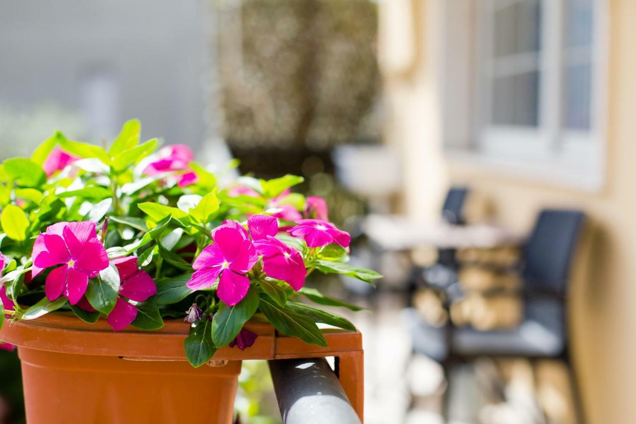 B&B Le City Montesilvano Bagian luar foto